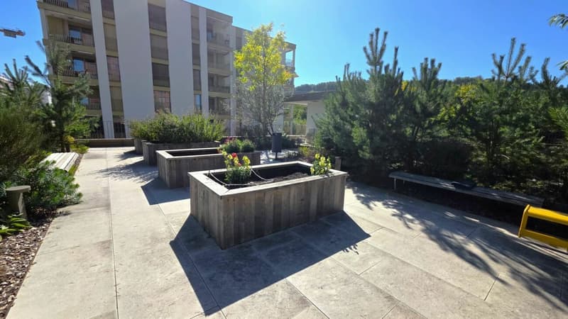 In the Heart of Nature & Rooftop (14)