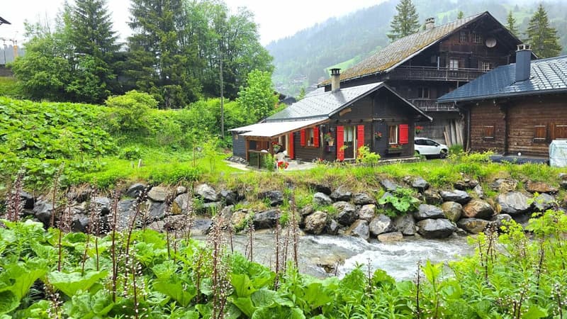 Ein kleines Paradies (1)