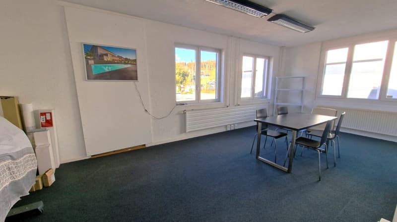 IDEAL POUR COMMERCE/SHOWROOM/ARTISANT (4)