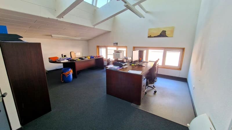 IDEAL POUR COMMERCE/SHOWROOM/ARTISANT (10)