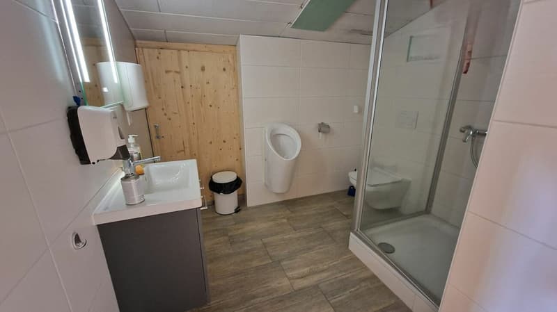 IDEAL POUR COMMERCE/SHOWROOM/ARTISANT (9)