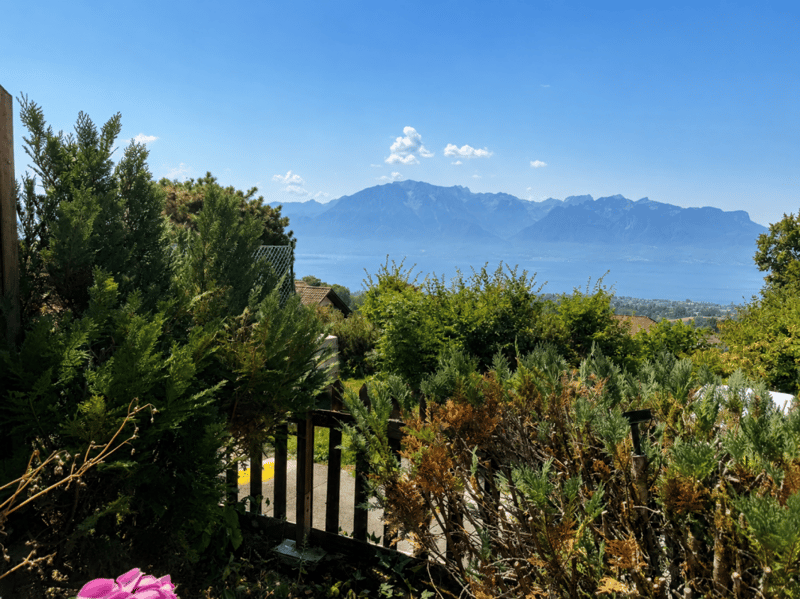 CALME, CHARME ET BELLE VUE (3)