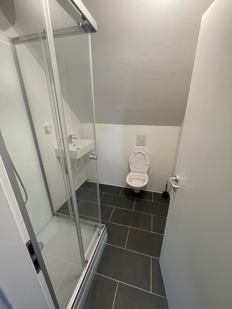 Einzelzimmer in Stein AG inkl. Nutzung Küche/Bad (4)