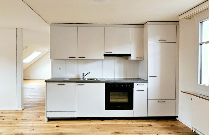 Grosse 2.5 Single- / Paar- oder Studentenwohnung (1)