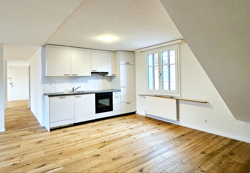 Grosse 2.5 Single- / Paar- oder Studentenwohnung (2)