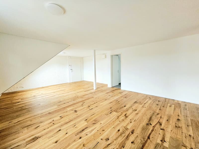 Grosse 2.5 Single- / Paar- oder Studentenwohnung (6)