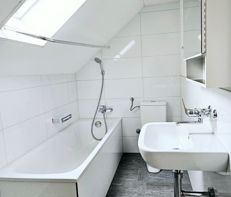 Grosse 2.5 Single- / Paar- oder Studentenwohnung (9)