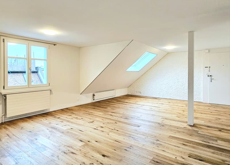 Grosse 2.5 Single- / Paar- oder Studentenwohnung (7)