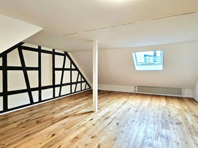 Grosse 2.5 Single- / Paar- oder Studentenwohnung (5)