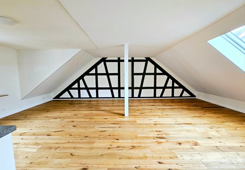 Grosse 2.5 Single- / Paar- oder Studentenwohnung (4)