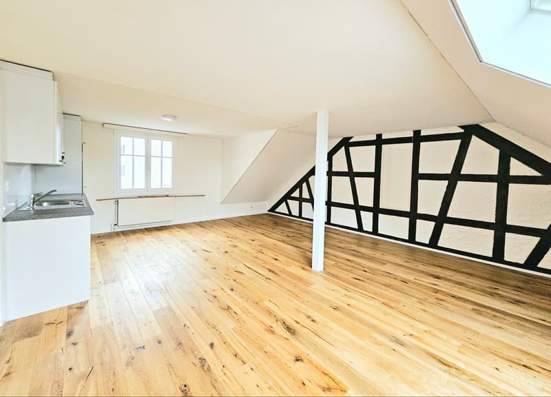 Grosse 2.5 Single- / Paar- oder Studentenwohnung (3)