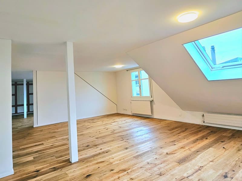 Grosse 2.5 Single- / Paar- oder Studentenwohnung (8)