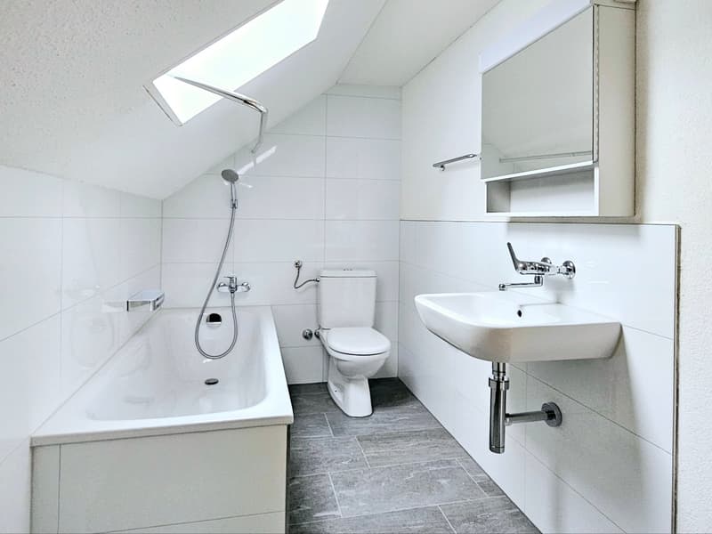 Grosse 2.5 Single- / Paar- oder Studentenwohnung (10)