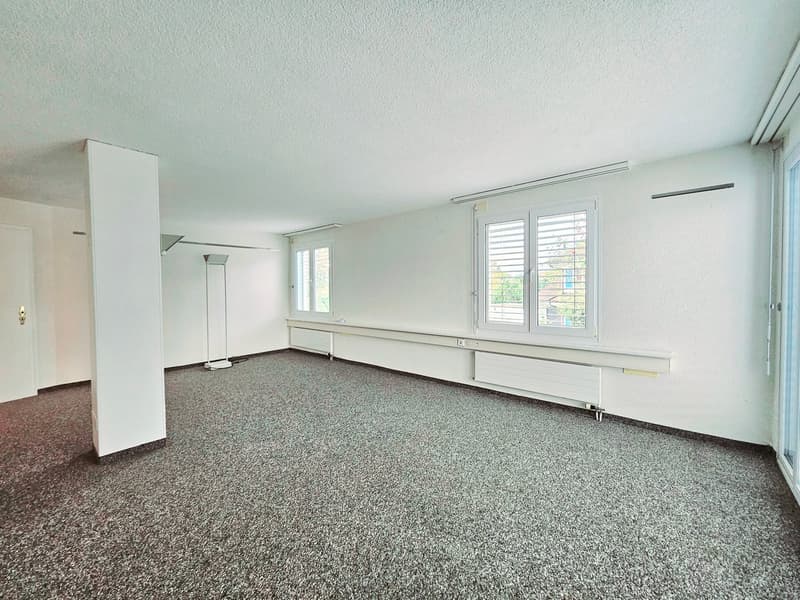 empty room with carpeted floor, white walls, radiators, two windows with blinds, central column