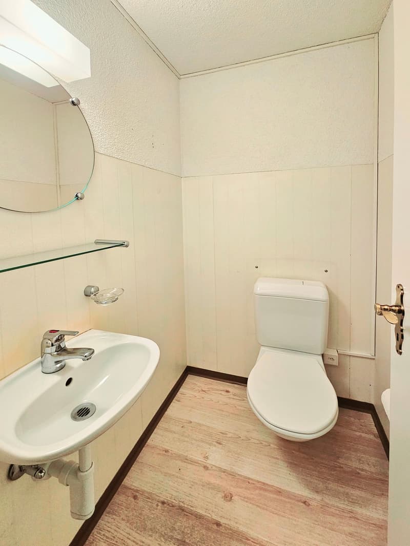 compact bathroom, white tiles, wooden floor, white toilet, silver sink, mirror, small shelf