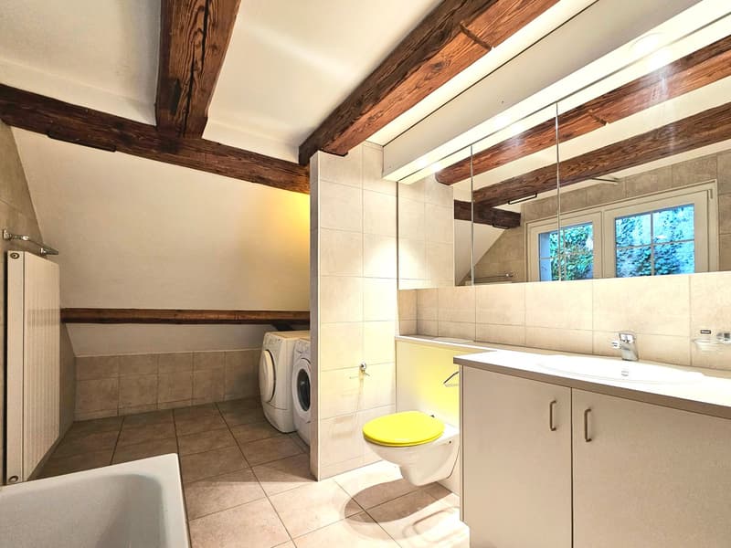 4.5 Zimmer-Maisonettewohnung im Riegelbau-Stil (9)