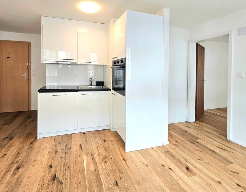 modern kitchen with white cabinets, black countertops, stainless steel sink, oven, wooden floor