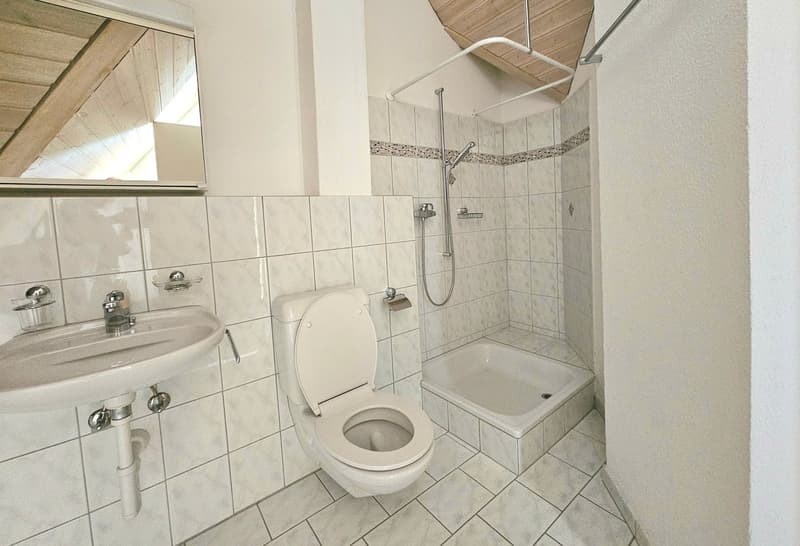 schöne 5.5 - Zimmer Maisonettewohnung (12)