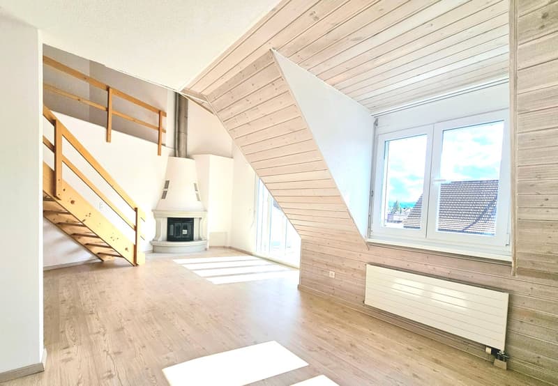 Bel appartement maisonnette de 5,5 pièces (6)