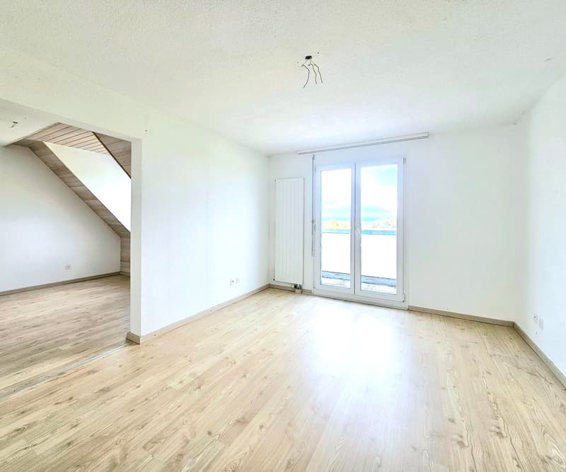 Bel appartement maisonnette de 5,5 pièces (16)