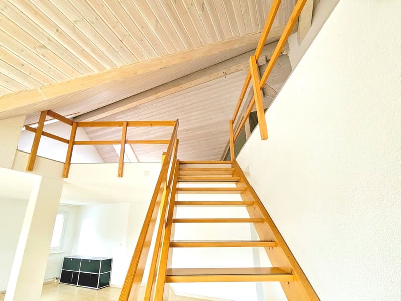 Bel appartement maisonnette de 5,5 pièces (5)