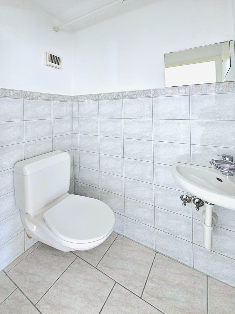 Bel appartement maisonnette de 5,5 pièces (13)