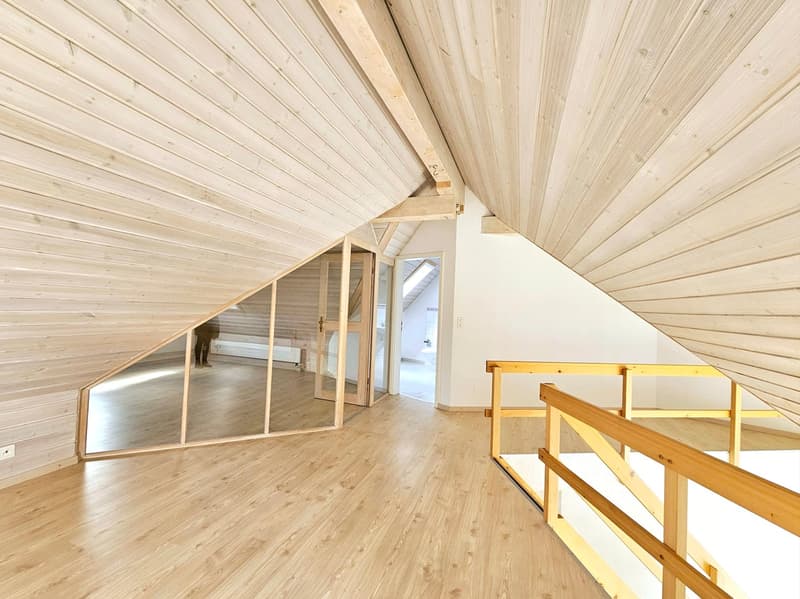 Bel appartement maisonnette de 5,5 pièces (1)