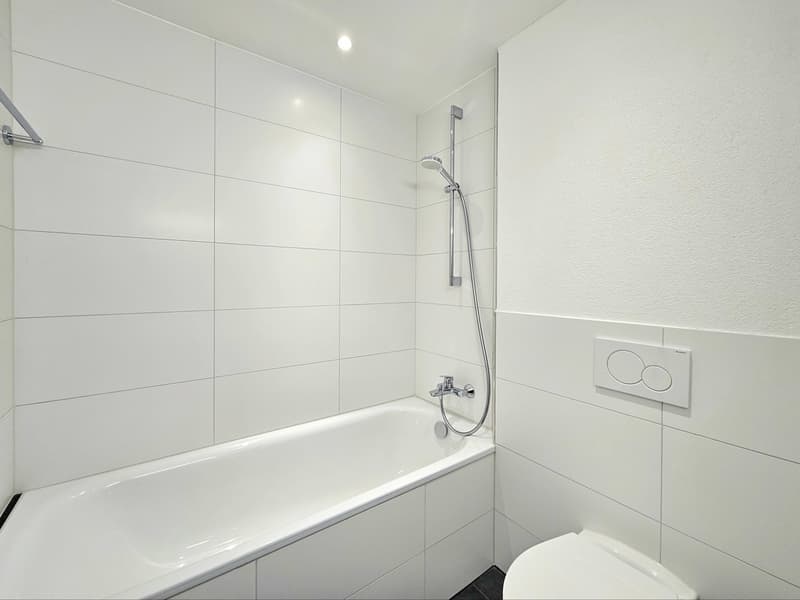 Appartamento moderno di 2,5 locali (8)