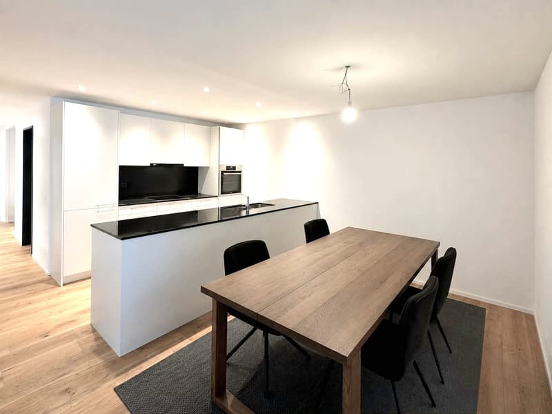 Appartement moderne de 4,5 pièces (1)
