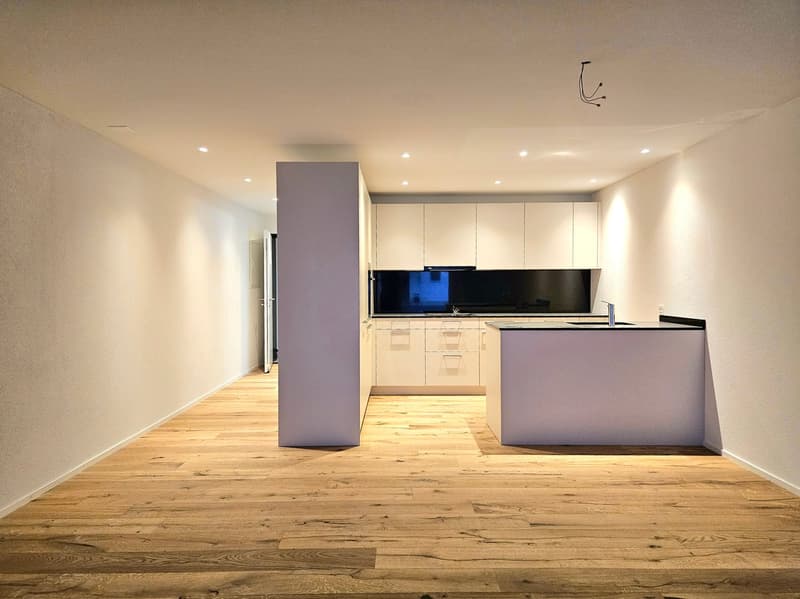 Appartement moderne de 2,5 pièces au rez-de-chaussée "Neubau" (2)