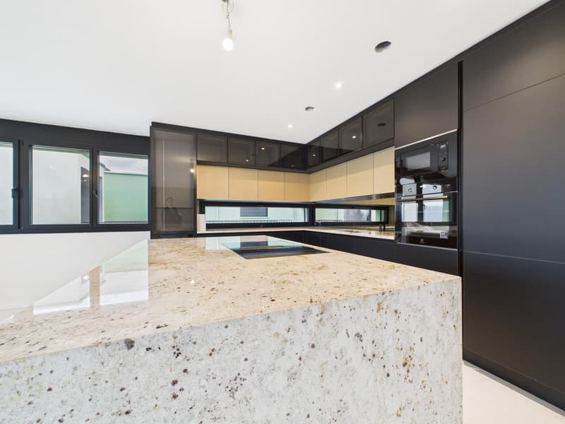 Appartamento a terrazza di 4½ locali in standard Minergie-P (2)