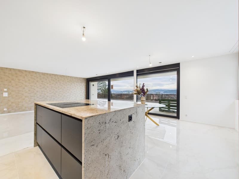 Appartamento a terrazza di 4½ locali in standard Minergie-P (3)
