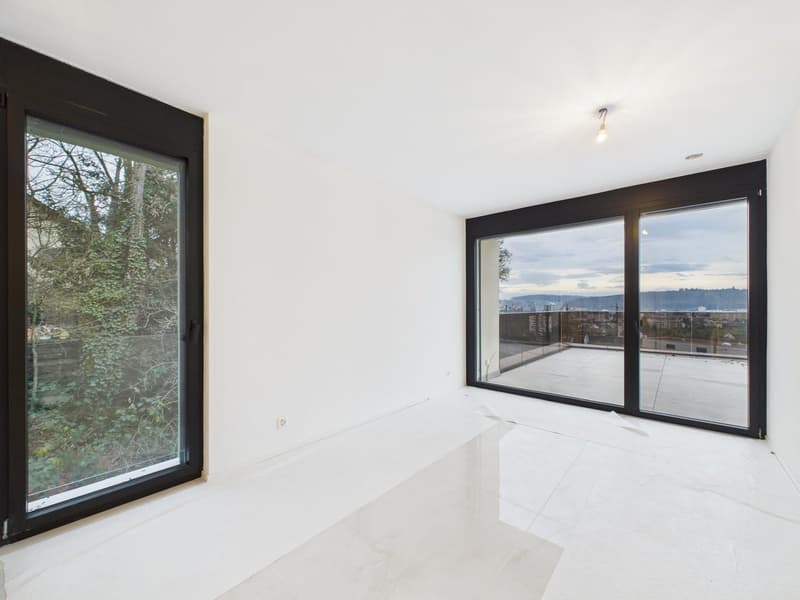 Appartamento a terrazza di 4½ locali in standard Minergie-P (17)