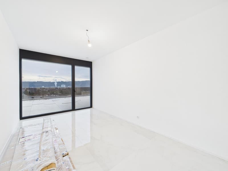 Appartamento a terrazza di 4½ locali in standard Minergie-P (9)