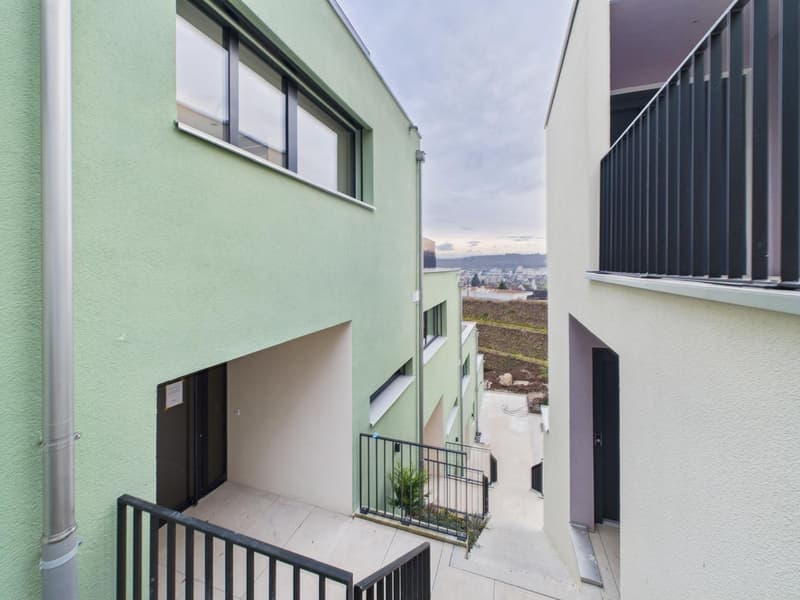 Appartamento a terrazza di 4½ locali in standard Minergie-P (20)