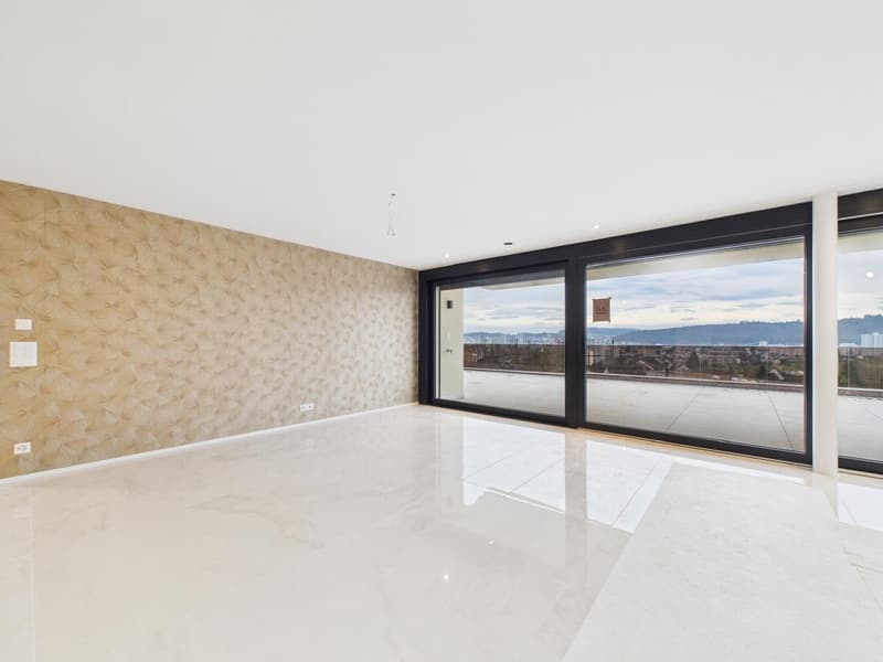 Appartamento a terrazza di 4½ locali in standard Minergie-P (6)