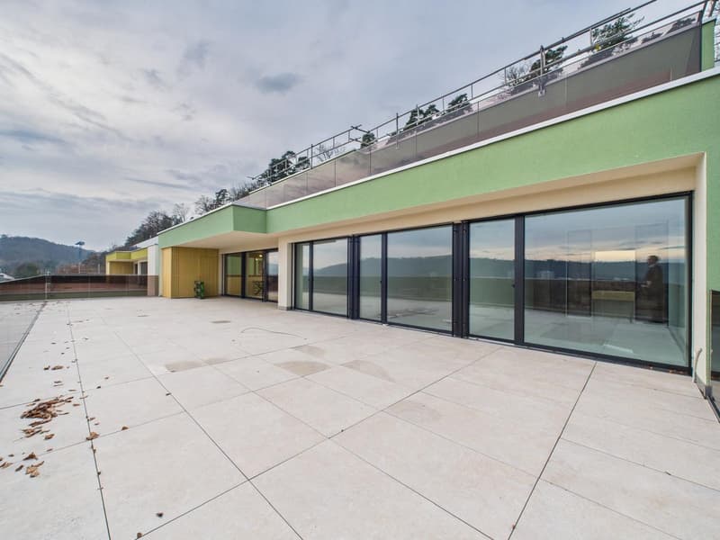 Appartamento a terrazza di 4½ locali in standard Minergie-P (18)