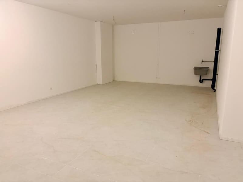 Your dream home on one level (20)