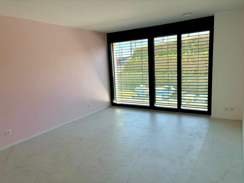 Your dream home on one level (9)