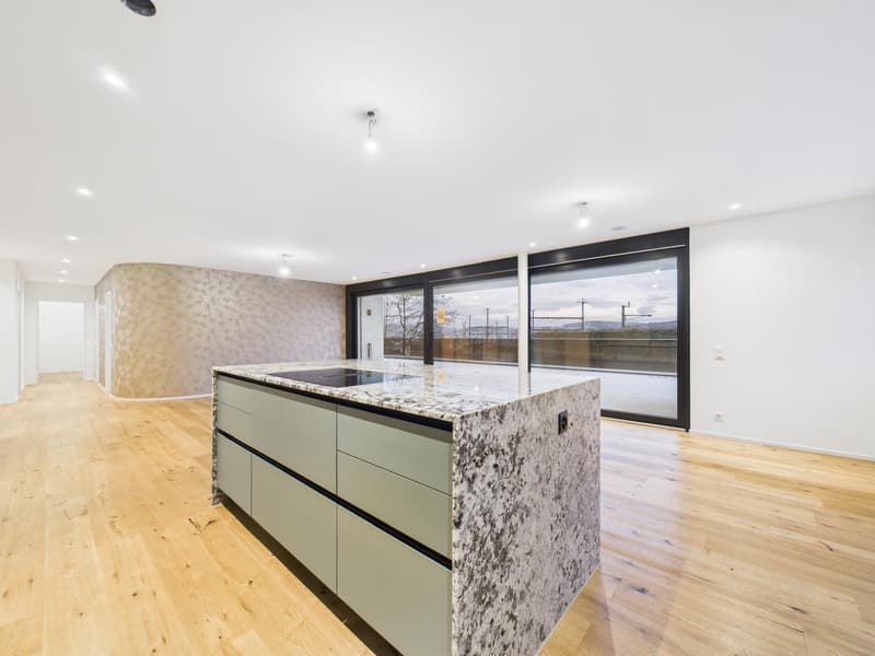 Exclusive 4.5-room terrace apartment in a new building in Umiken (2)