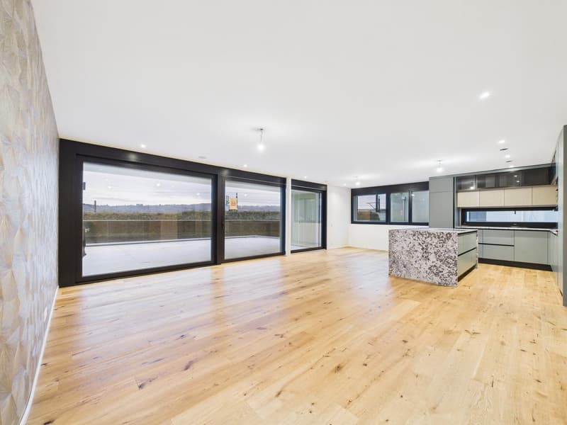 Exclusive 4.5-room terrace apartment in a new building in Umiken (6)