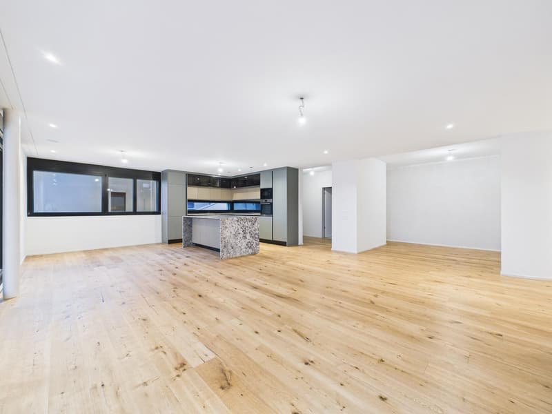 Exclusive 4.5-room terrace apartment in a new building in Umiken (7)
