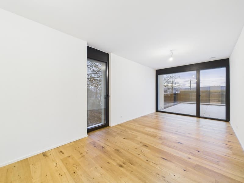 Exclusive 4.5-room terrace apartment in a new building in Umiken (9)