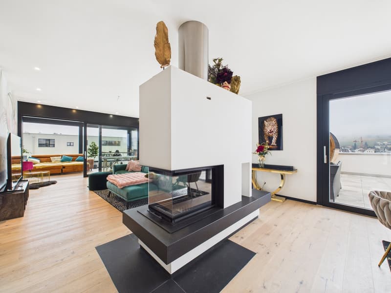 Luce. Aria. Lusso. – Appartamento attico esclusivo 5.5 locali con Jacuzzi & giardino d'inverno (3)