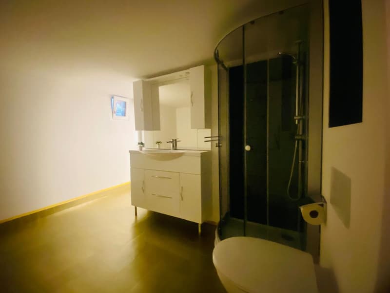 Ambiente Triemli. Grande e speciale. Ha tutto ciò di cui hai bisogno! (17)
