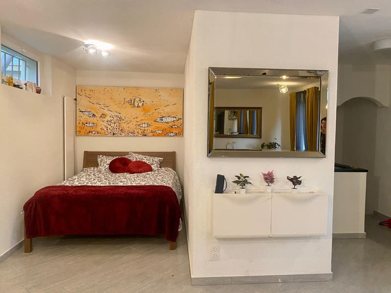 Ambiente Triemli. Grande e speciale. Ha tutto ciò di cui hai bisogno! (15)