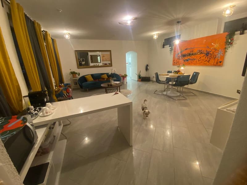 Ambiente Triemli. Grande e speciale. Ha tutto ciò di cui hai bisogno! (25)