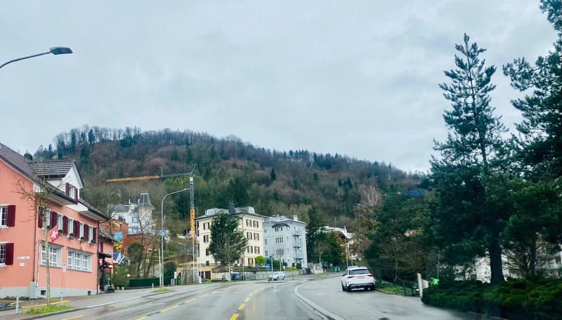 Ambiente Triemli. Grande e speciale. Ha tutto ciò di cui hai bisogno! (10)