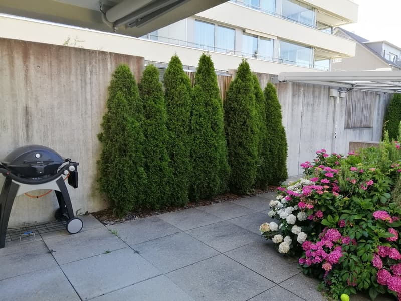 4.5-Zimmer-Wohnung mit 170 m² Gartenfläche (3)