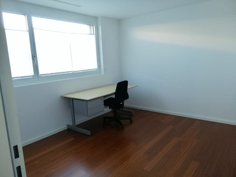 4.5-Zimmer-Wohnung mit 170 m² Gartenfläche (6)